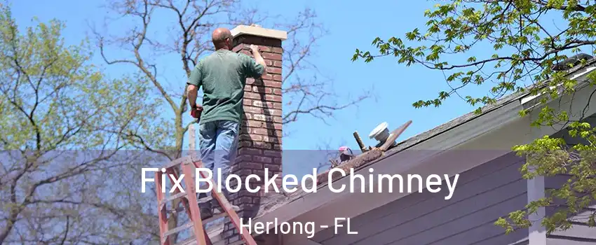 Fix Blocked Chimney Herlong - FL