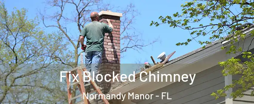 Fix Blocked Chimney Normandy Manor - FL