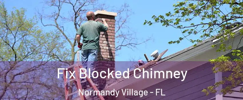 Fix Blocked Chimney Normandy Village - FL