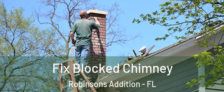 Fix Blocked Chimney Robinsons Addition - FL
