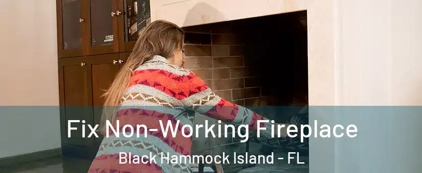 Fix Non-Working Fireplace Black Hammock Island - FL
