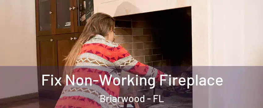 Fix Non-Working Fireplace Briarwood - FL