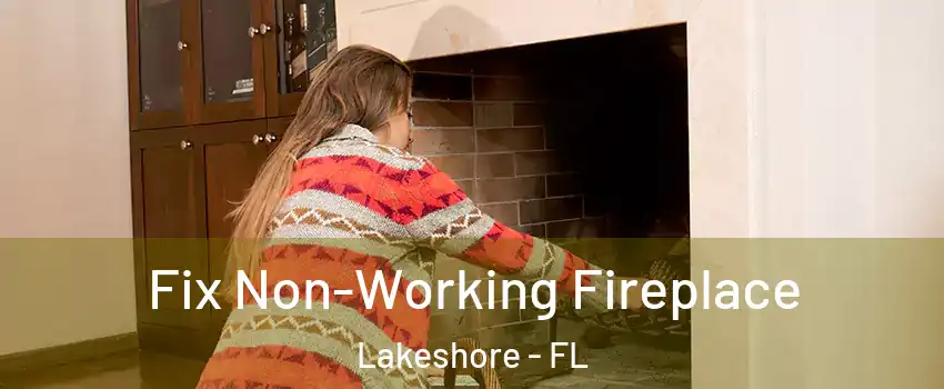 Fix Non-Working Fireplace Lakeshore - FL