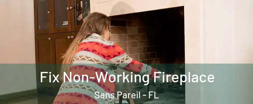 Fix Non-Working Fireplace Sans Pareil - FL