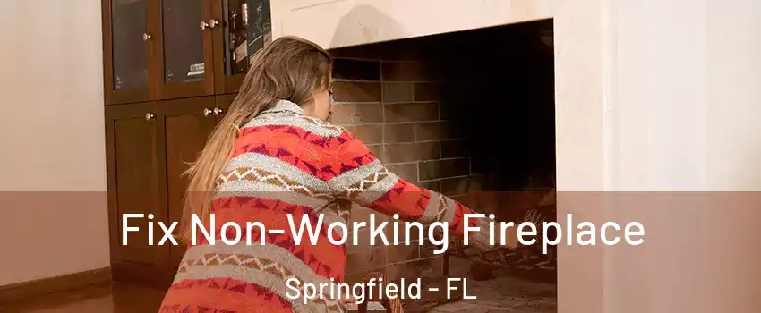 Fix Non-Working Fireplace Springfield - FL