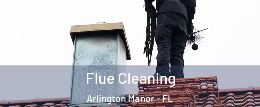 Flue Cleaning Arlington Manor - FL