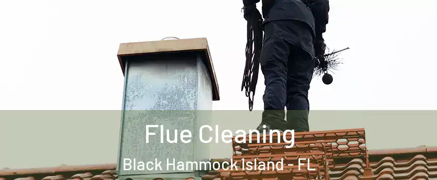 Flue Cleaning Black Hammock Island - FL