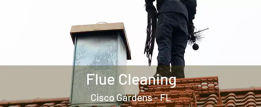 Flue Cleaning Cisco Gardens - FL