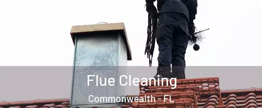 Flue Cleaning Commonwealth - FL
