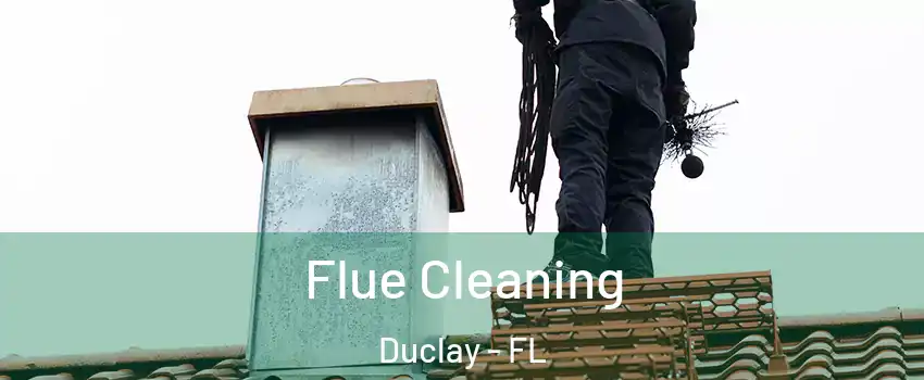 Flue Cleaning Duclay - FL