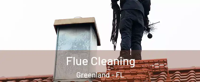 Flue Cleaning Greenland - FL