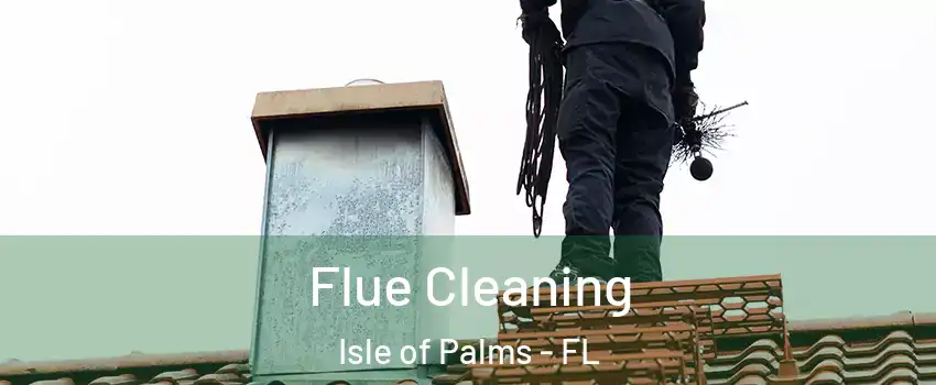 Flue Cleaning Isle of Palms - FL