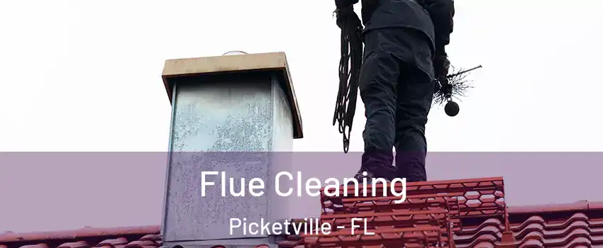 Flue Cleaning Picketville - FL