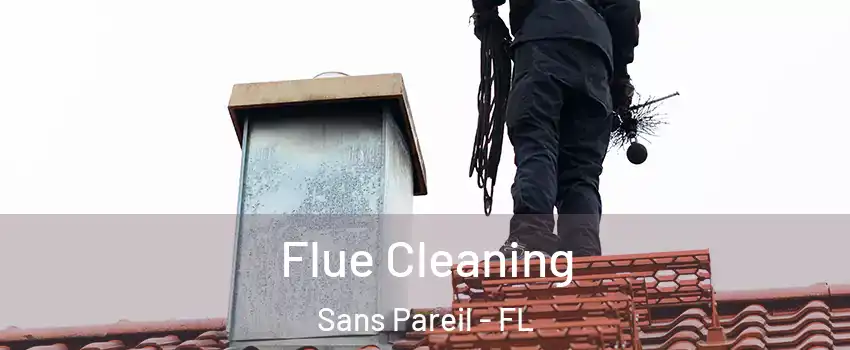 Flue Cleaning Sans Pareil - FL