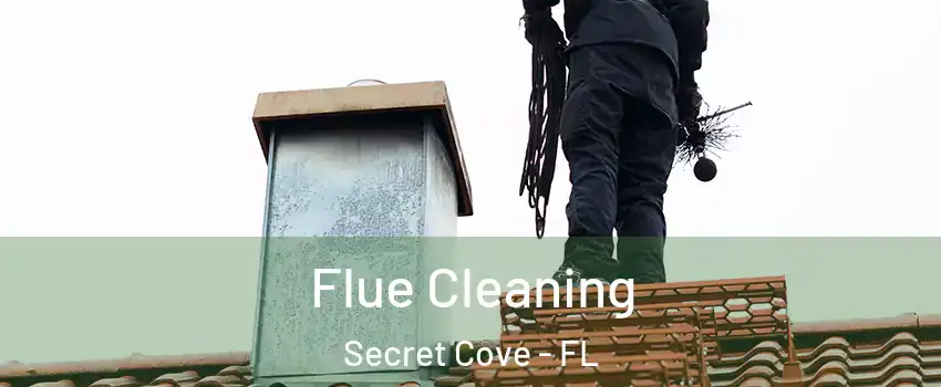 Flue Cleaning Secret Cove - FL