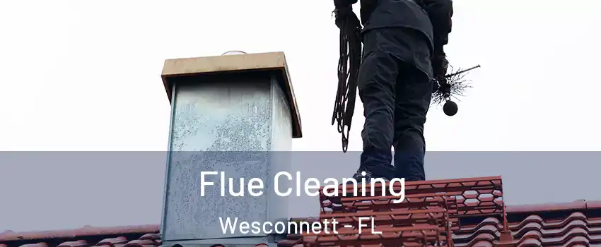 Flue Cleaning Wesconnett - FL