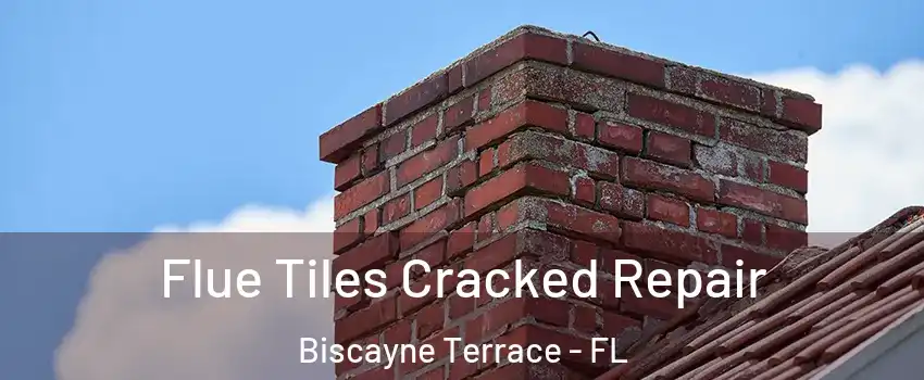 Flue Tiles Cracked Repair Biscayne Terrace - FL