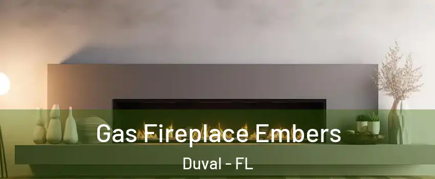 Gas Fireplace Embers Duval - FL