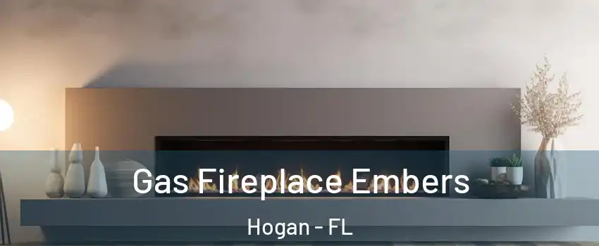 Gas Fireplace Embers Hogan - FL