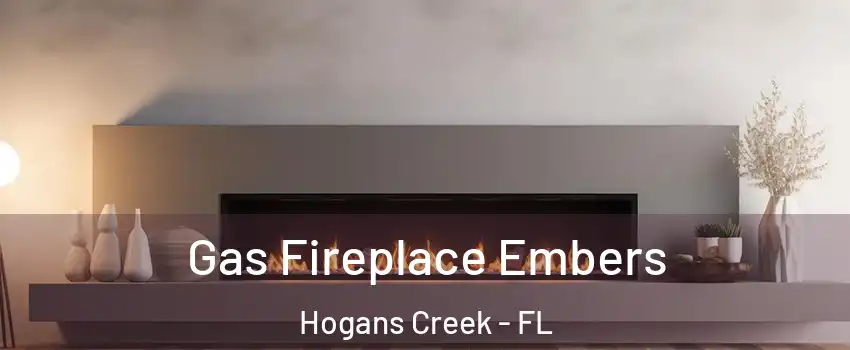 Gas Fireplace Embers Hogans Creek - FL