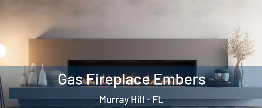 Gas Fireplace Embers Murray Hill - FL