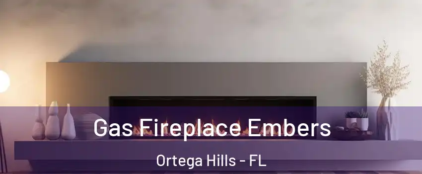 Gas Fireplace Embers Ortega Hills - FL