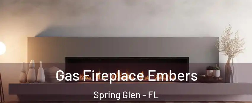 Gas Fireplace Embers Spring Glen - FL
