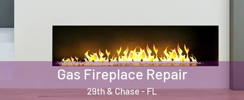 Gas Fireplace Repair 29th & Chase - FL