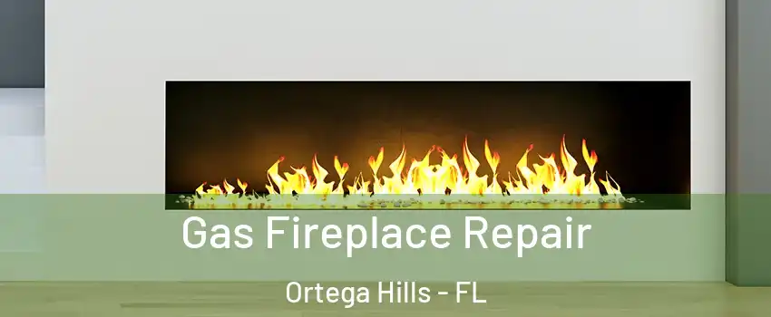 Gas Fireplace Repair Ortega Hills - FL