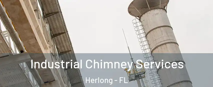 Industrial Chimney Services Herlong - FL