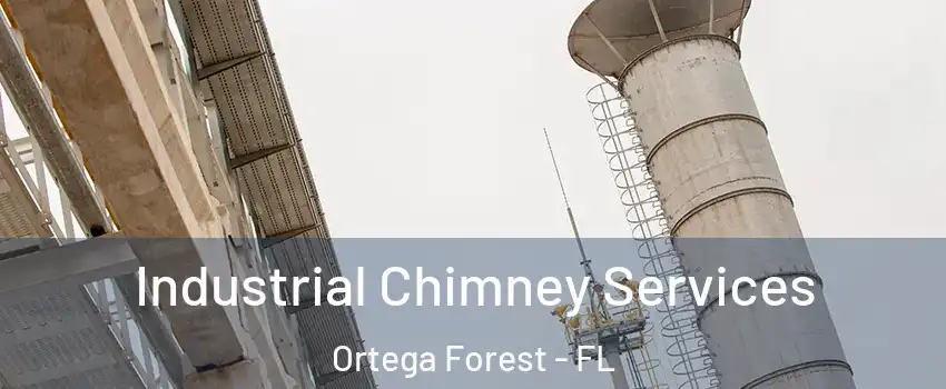 Industrial Chimney Services Ortega Forest - FL