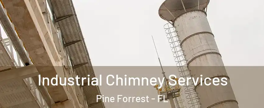 Industrial Chimney Services Pine Forrest - FL