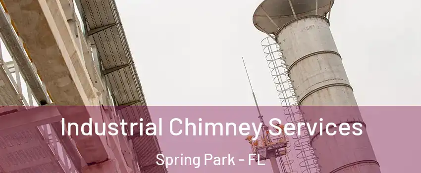Industrial Chimney Services Spring Park - FL