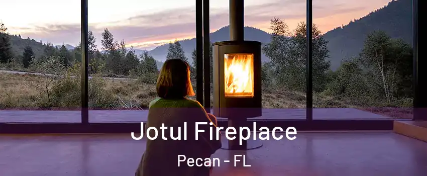 Jotul Fireplace Pecan - FL