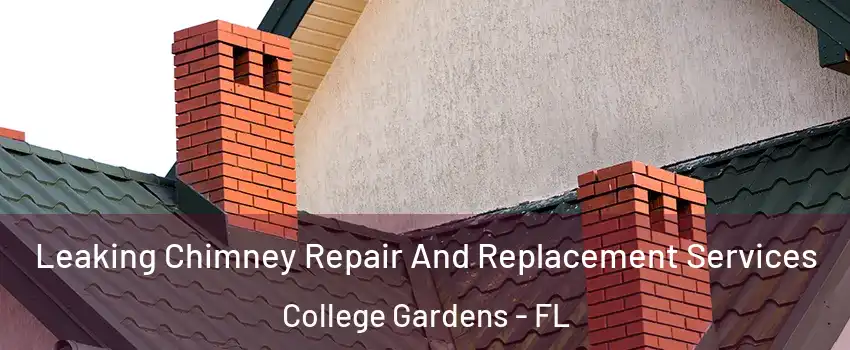 Leaking Chimney Repair And Replacement Services College Gardens - FL