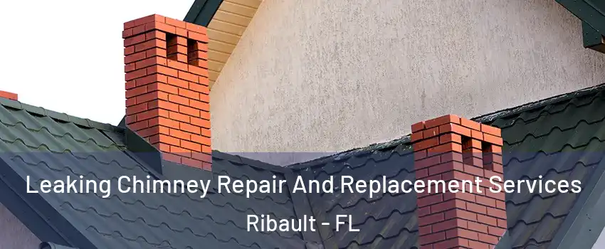 Leaking Chimney Repair And Replacement Services Ribault - FL
