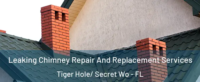 Leaking Chimney Repair And Replacement Services Tiger Hole/ Secret Wo - FL