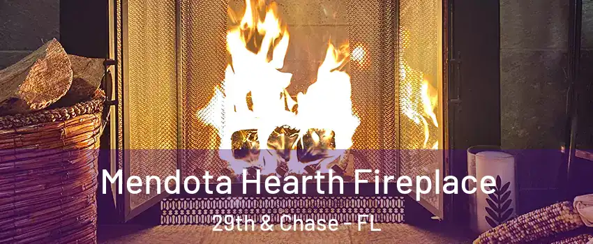 Mendota Hearth Fireplace 29th & Chase - FL