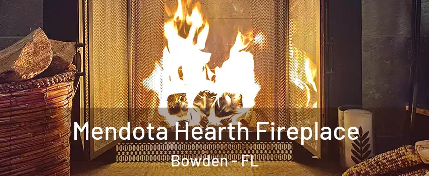 Mendota Hearth Fireplace Bowden - FL