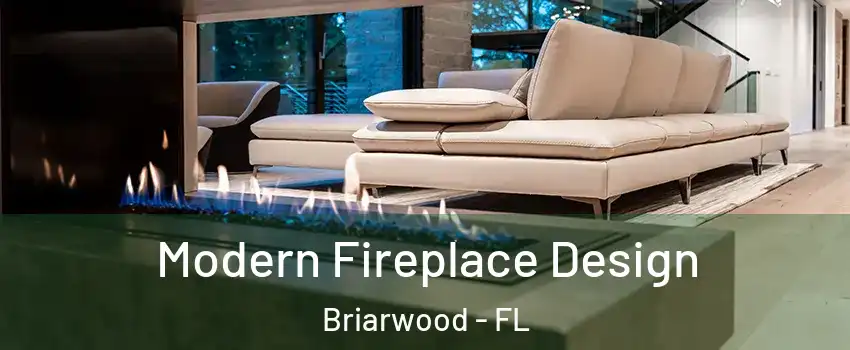 Modern Fireplace Design Briarwood - FL