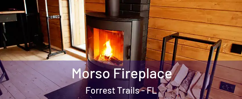 Morso Fireplace Forrest Trails - FL