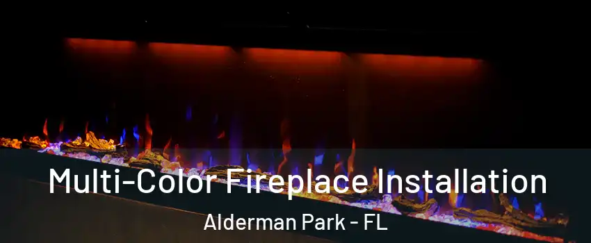 Multi-Color Fireplace Installation Alderman Park - FL