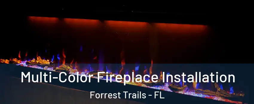 Multi-Color Fireplace Installation Forrest Trails - FL