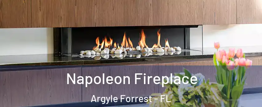 Napoleon Fireplace Argyle Forrest - FL