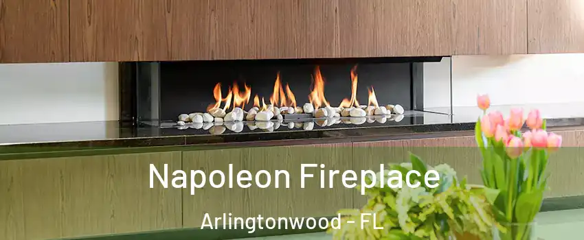 Napoleon Fireplace Arlingtonwood - FL