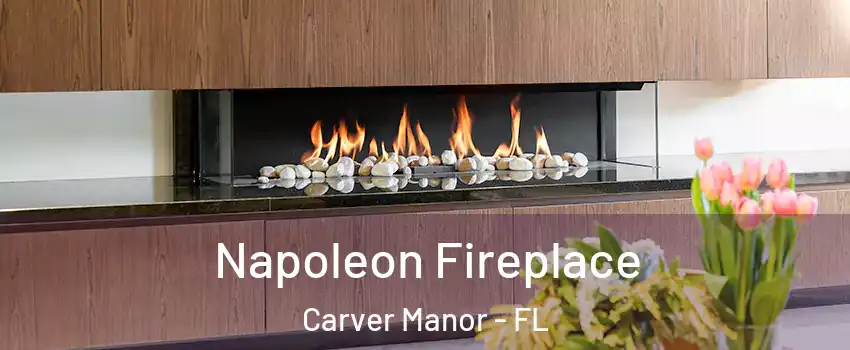 Napoleon Fireplace Carver Manor - FL