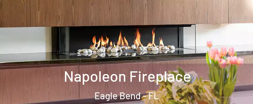 Napoleon Fireplace Eagle Bend - FL