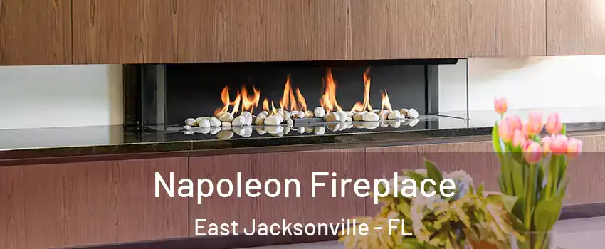 Napoleon Fireplace East Jacksonville - FL