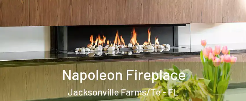 Napoleon Fireplace Jacksonville Farms/Te - FL