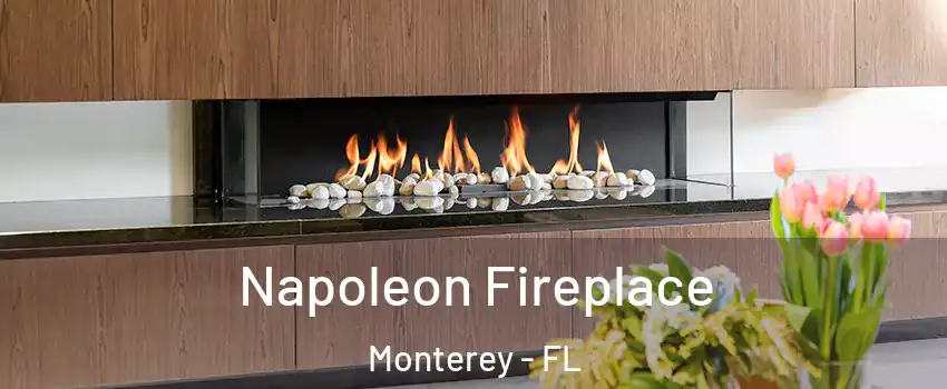 Napoleon Fireplace Monterey - FL